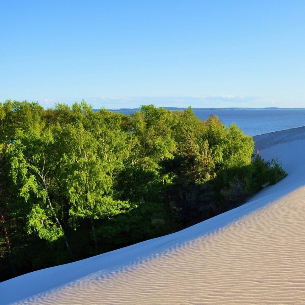 slowinski park narodowy panorama e1769966347153